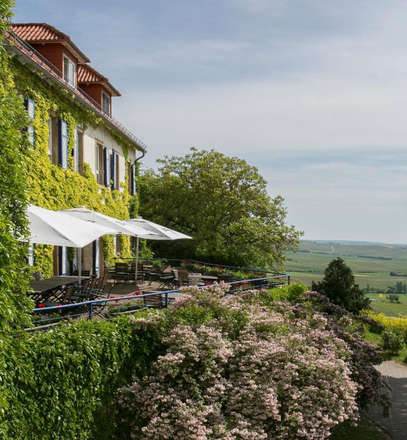 Hotel Hofgut Wißberg - Weinberghotel Sankt Johann (Mainz-Bingen, Rhineland-Palatinate)