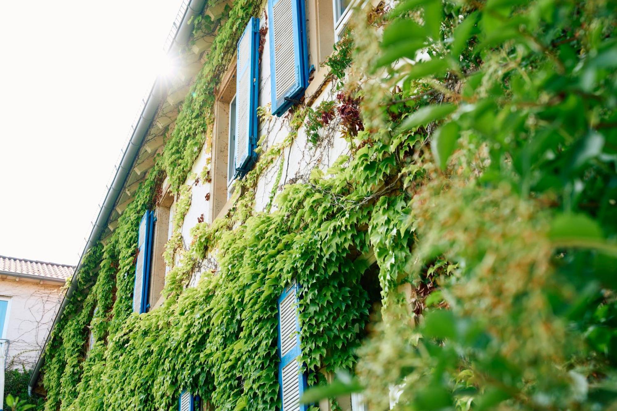 Hofgut Wißberg - Weinberghotel Hotel Sankt Johann (Mainz-Bingen, Rhineland-Palatinate)