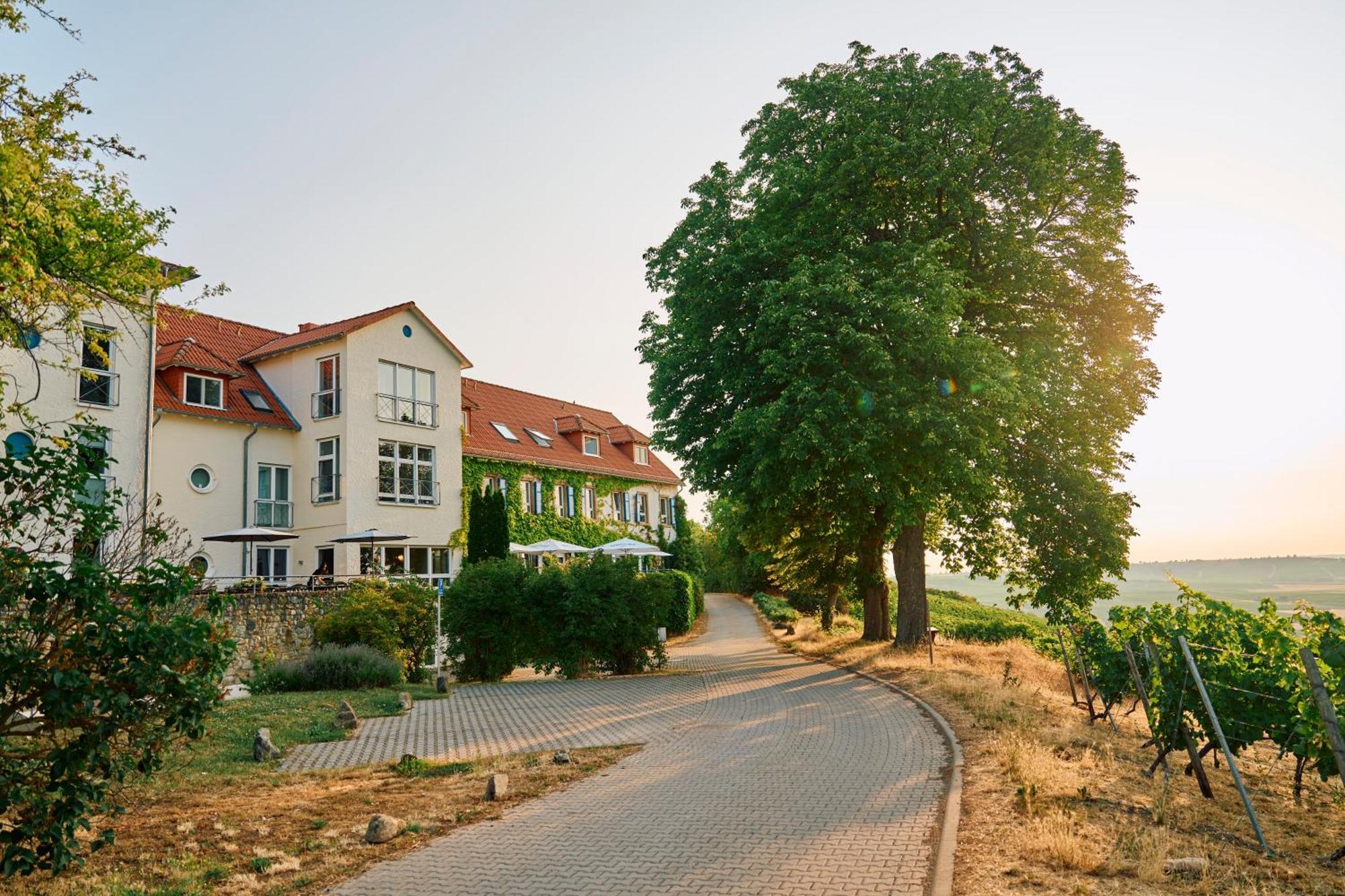 Hofgut Wißberg - Weinberghotel Hotel