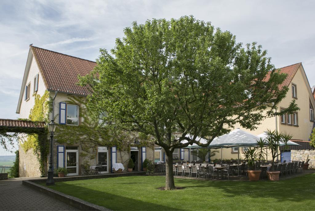 Hofgut Wißberg - Weinberghotel Sankt Johann (Mainz-Bingen, Rhineland-Palatinate)