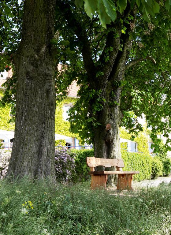 Hofgut Wißberg - Weinberghotel Hotel